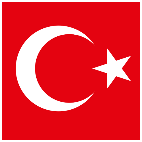 Aesthetics and Face Aesthetics in Turkey